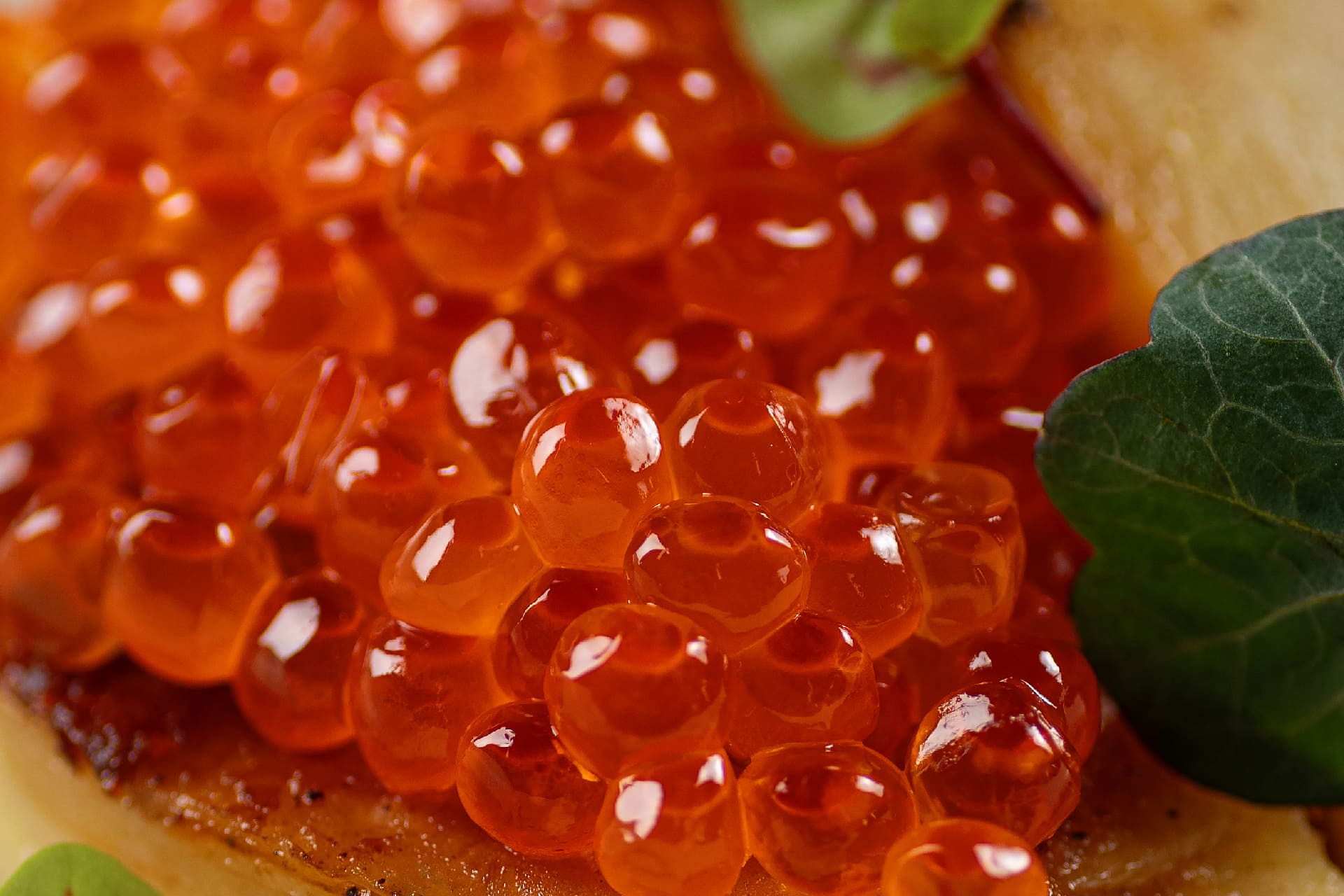 Lightly salted sockeye salmon caviar - 35 €